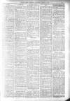 Bexhill-on-Sea Observer Saturday 18 March 1905 Page 15