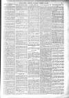 Bexhill-on-Sea Observer Saturday 18 November 1905 Page 15