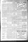 Bexhill-on-Sea Observer Saturday 06 January 1906 Page 8