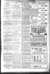 Bexhill-on-Sea Observer Saturday 06 January 1906 Page 12