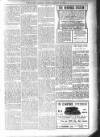 Bexhill-on-Sea Observer Saturday 27 January 1906 Page 11