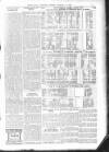 Bexhill-on-Sea Observer Saturday 10 February 1906 Page 11