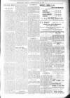 Bexhill-on-Sea Observer Saturday 17 March 1906 Page 9