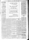 Bexhill-on-Sea Observer Saturday 24 March 1906 Page 7
