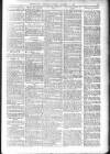 Bexhill-on-Sea Observer Saturday 15 December 1906 Page 19