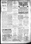 Bexhill-on-Sea Observer Saturday 12 January 1907 Page 13