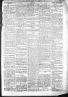 Bexhill-on-Sea Observer Saturday 12 January 1907 Page 15
