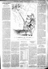 Bexhill-on-Sea Observer Saturday 19 January 1907 Page 13