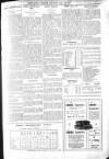 Bexhill-on-Sea Observer Saturday 20 April 1907 Page 11