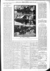 Bexhill-on-Sea Observer Saturday 30 January 1909 Page 11