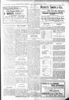 Bexhill-on-Sea Observer Saturday 27 February 1909 Page 9