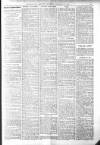 Bexhill-on-Sea Observer Saturday 27 February 1909 Page 13