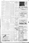 Bexhill-on-Sea Observer Saturday 07 January 1911 Page 11