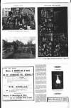 Bexhill-on-Sea Observer Saturday 02 December 1911 Page 9