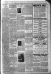 Bexhill-on-Sea Observer Saturday 13 February 1915 Page 7