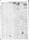 Larne Times Saturday 27 June 1914 Page 11