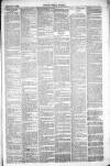 Thetford & Watton Times Saturday 21 February 1880 Page 3
