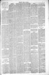 Thetford & Watton Times Saturday 28 February 1880 Page 5