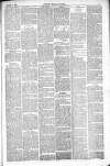Thetford & Watton Times Saturday 13 March 1880 Page 3
