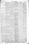 Thetford & Watton Times Saturday 13 March 1880 Page 5