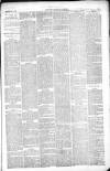 Thetford & Watton Times Saturday 20 March 1880 Page 5