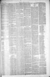 Thetford & Watton Times Saturday 17 April 1880 Page 3