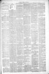 Thetford & Watton Times Saturday 17 April 1880 Page 5