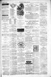Thetford & Watton Times Saturday 17 April 1880 Page 7