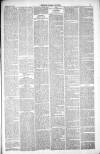 Thetford & Watton Times Saturday 24 April 1880 Page 3
