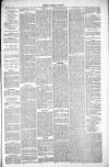 Thetford & Watton Times Saturday 15 May 1880 Page 5