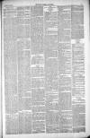 Thetford & Watton Times Saturday 12 June 1880 Page 3