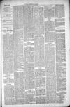 Thetford & Watton Times Saturday 12 June 1880 Page 5