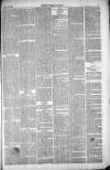 Thetford & Watton Times Saturday 03 July 1880 Page 3