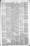 Thetford & Watton Times Saturday 17 July 1880 Page 5