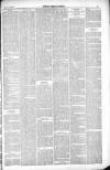 Thetford & Watton Times Saturday 24 July 1880 Page 3