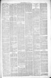 Thetford & Watton Times Saturday 31 July 1880 Page 3
