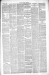 Thetford & Watton Times Saturday 07 August 1880 Page 3