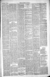 Thetford & Watton Times Saturday 30 October 1880 Page 3