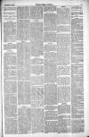 Thetford & Watton Times Saturday 30 October 1880 Page 5