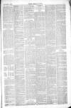 Thetford & Watton Times Saturday 06 November 1880 Page 3