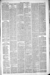 Thetford & Watton Times Saturday 13 November 1880 Page 3