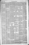 Thetford & Watton Times Saturday 20 November 1880 Page 3