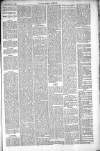 Thetford & Watton Times Saturday 20 November 1880 Page 5