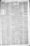 Thetford & Watton Times Saturday 27 November 1880 Page 3