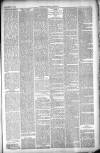 Thetford & Watton Times Saturday 04 December 1880 Page 3
