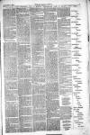 Thetford & Watton Times Saturday 25 December 1880 Page 3