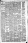 Thetford & Watton Times Saturday 25 December 1880 Page 5