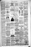 Thetford & Watton Times Saturday 25 December 1880 Page 7