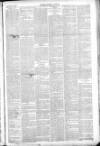 Thetford & Watton Times Saturday 08 January 1881 Page 3