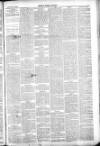 Thetford & Watton Times Saturday 08 January 1881 Page 5